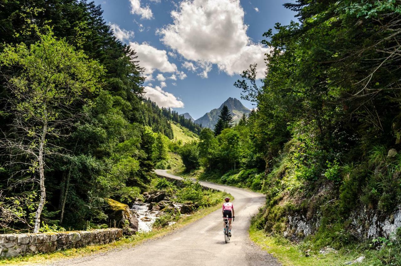 Pyrenees Cycling Lodge Saint-Savin  Exterior photo